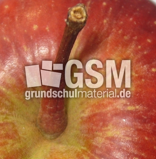 Apfel-Stängel-3.jpg